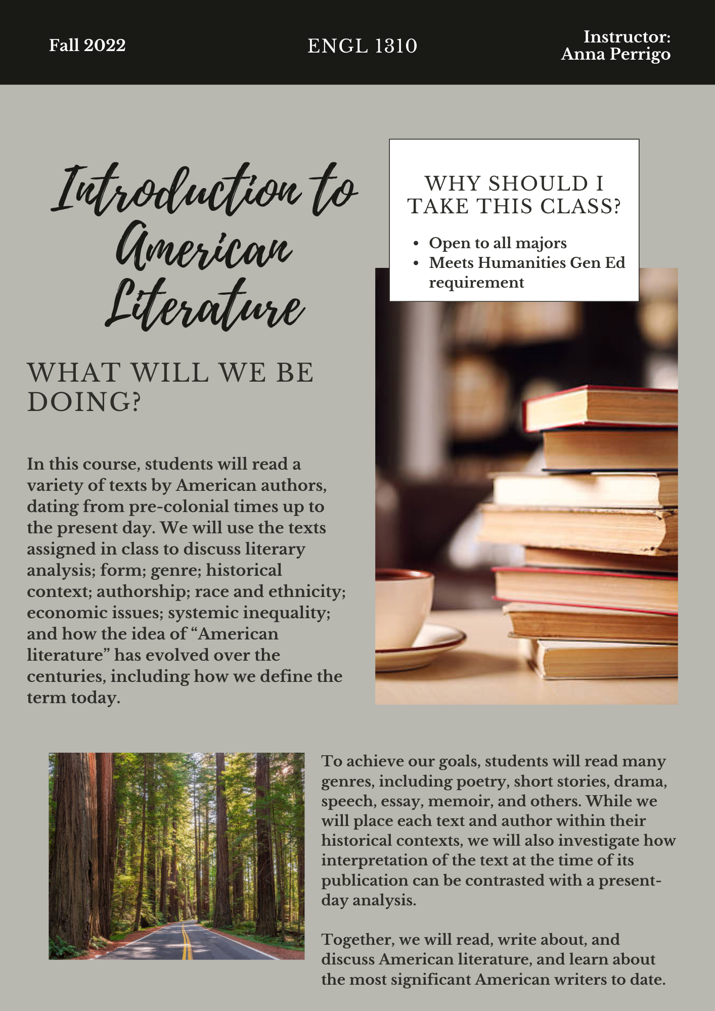 Course Flyer