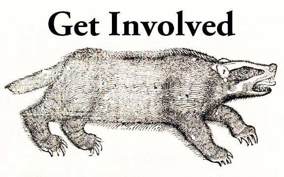 Get Involved 