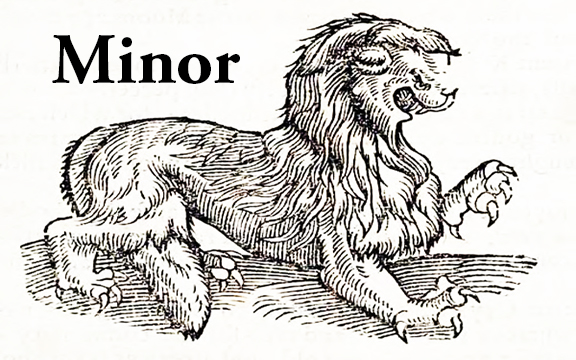 Minor 