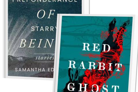 Photo of book covers